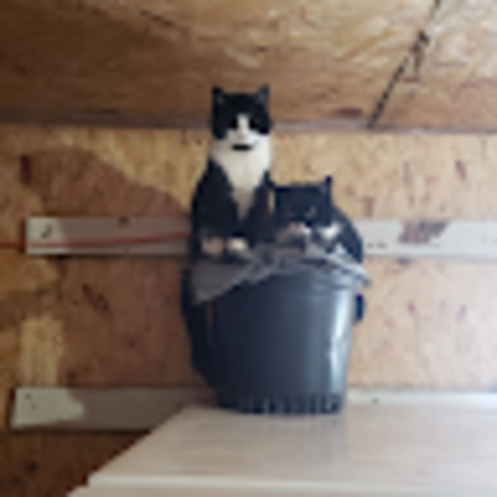 Meet your Posher, Casey